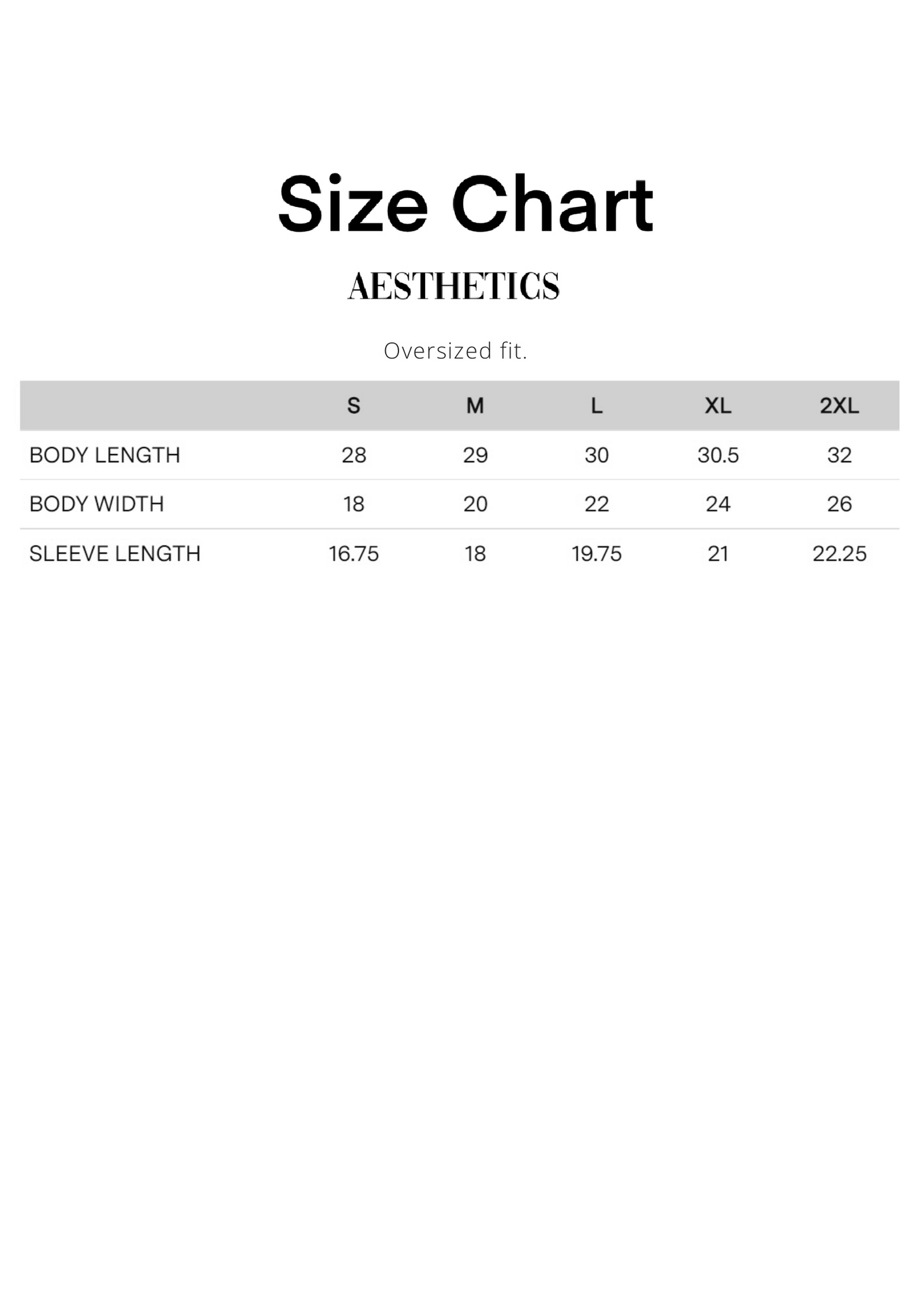 Aesthetics Oversized Heavyweight T Shirt