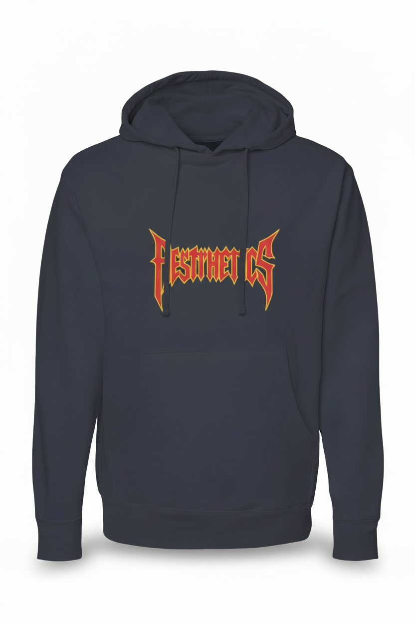 Aesthetics pullover hoody