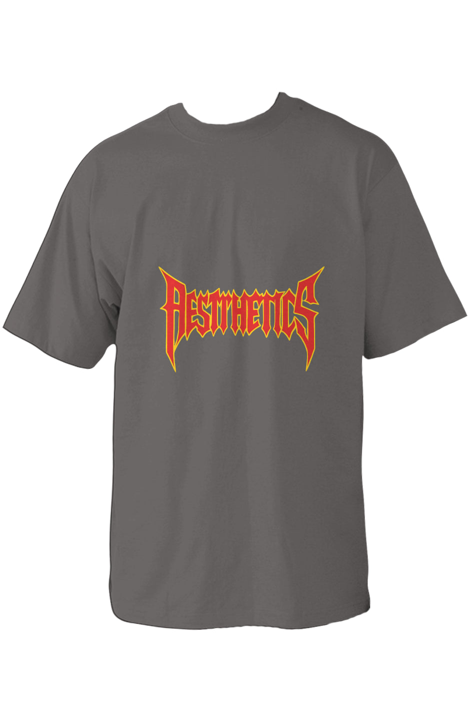 Aesthetics Oversized Heavyweight T Shirt