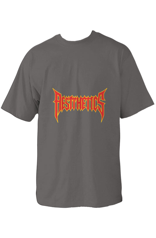 Aesthetics Oversized Heavyweight T Shirt